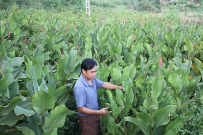 Bắc Kạn Dạy nghề gắn với thế mạnh địa phương